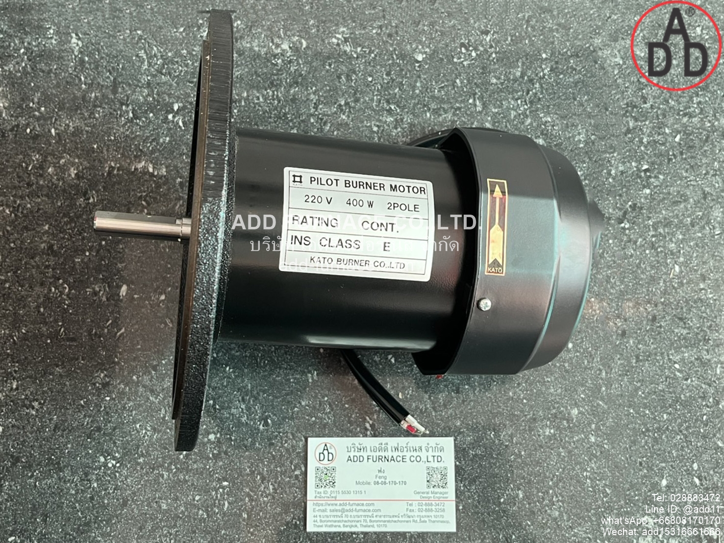 Pilot Burner Motor 220V 200W 2Pole (1)
